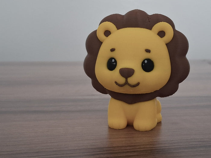 Aslan