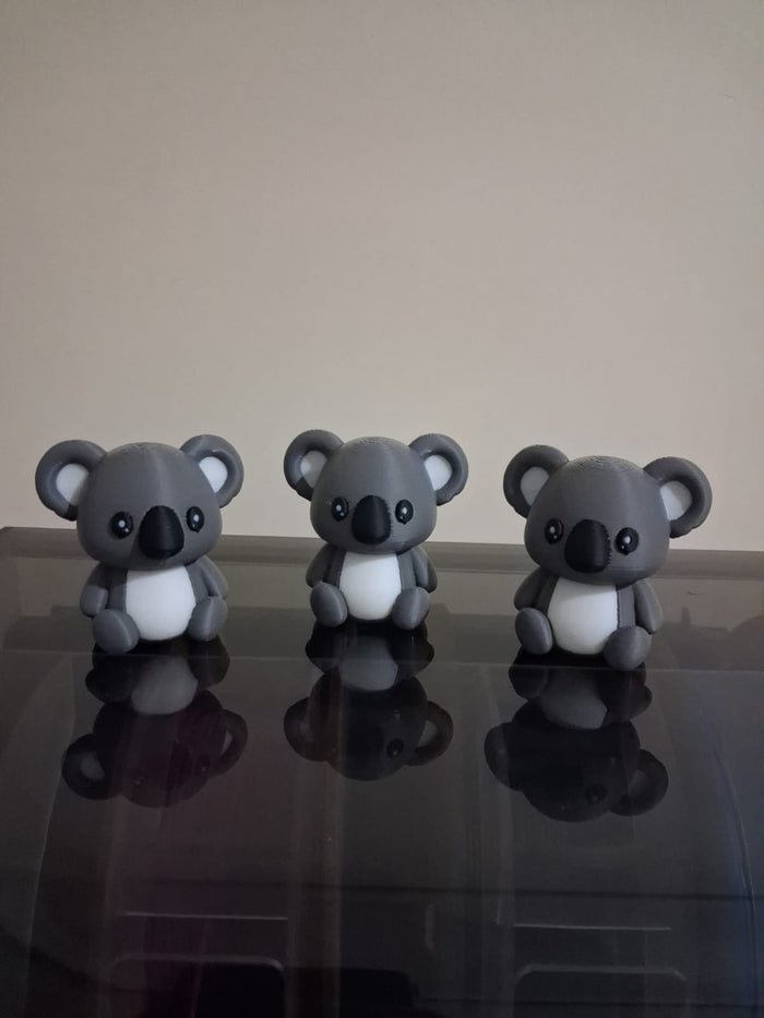 Koala